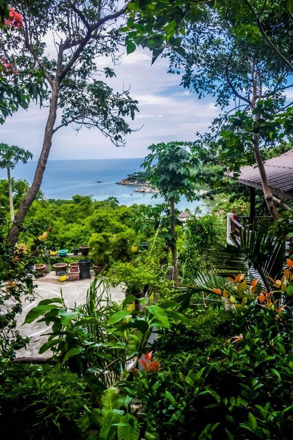 High Bar (adults Only) Ko Tao